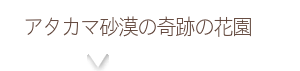 製品ラインナップ