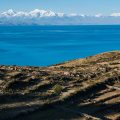 チチカカ湖・レアル山群《ボリビア》