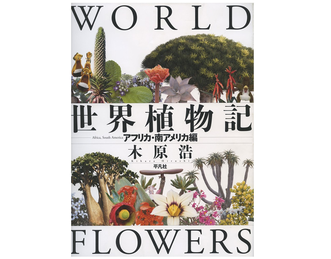 花の書籍のご案内 野の花づくし 季節の植物図鑑 アンディーナ ブログ
