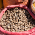 ペルー・アンデスの保存食：ジャガイモの「チューニョ」