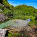 屋久島・宮之浦岳①：水の恵みを辿る“洋上のアルプス”