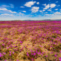 チリ／「南米大陸の幻想風景」写真展」：撮影エリア紹介⑥