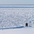 流氷街道の絶景：小清水原生花園から知床半島へ