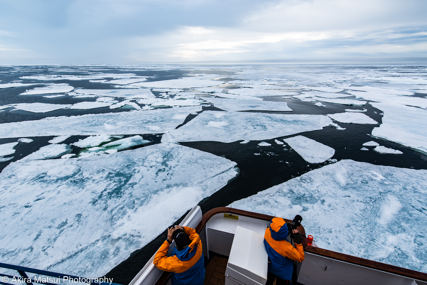 北極クルーズ 北緯80度の海氷帯へ 写真家 松井章 アンディーナ ブログ