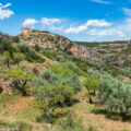 “スペインで最も美しい村”アルケサル③：オリーブの谷