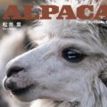 写真集『アルパカ』｜アンデスの民と生きる｜松井章