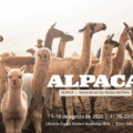 Exposición fotográfica Akira Matsui «Alpaca: viviendo en los Andes del Perú» en Azabudai Hills, Tokio