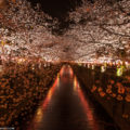 Foto Tours Tokio en español